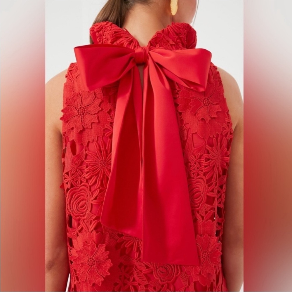 Tuckernuck Guipure Blythe Red Sleeveless Lace Shift Dress - Picture 3 of 6